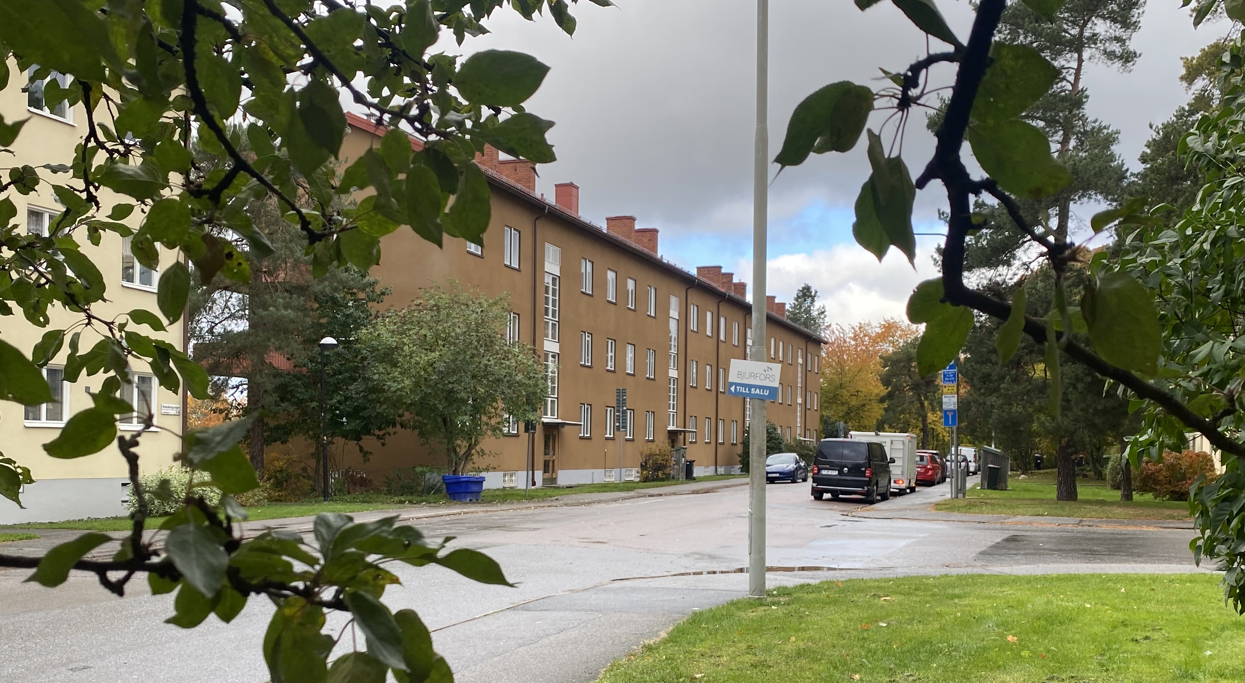 Trädgården